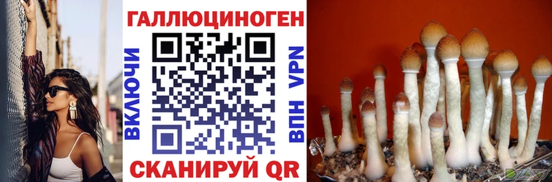 мега вход  Старая Русса  Псилоцибиновые грибы ЛСД 